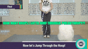Philanthropy Funder GIF by Center for Story-based Strategy