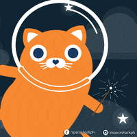 spaceshackph cat psychedelic space hungry GIF
