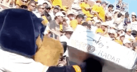 Super Regional Baseball GIF by NCAA Championships