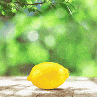 Radler GIF by Pan pivo