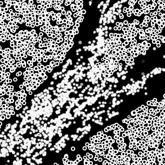 Black And White Loop GIF by xponentialdesign