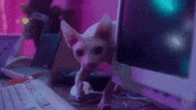 drugs and the internet GIF by Lauv