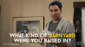 Pop Tv GIF by Schitt's Creek