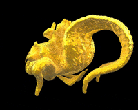 3d sculpture GIF by Miron