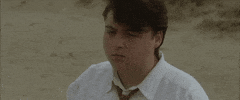 Little Bird Canada GIF by TIFF
