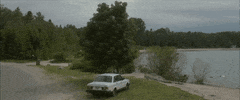 Little Bird Canada GIF by TIFF