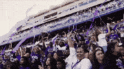 Football Celebrating GIF by JMUDukes
