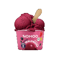 Vegan Icecream Sticker by NOMOO