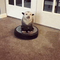 Mood Roomba GIF by JustViral