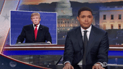 the daily show lol GIF by The Daily Show with Trevor Noah