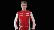Wipe Car Driver GIF by Prema Team