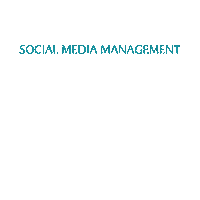 Consulting Social Media Sticker by Diamond Digital Marketing Co.