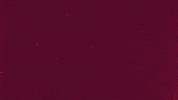 David Acsparta GIF by AC Sparta Praha