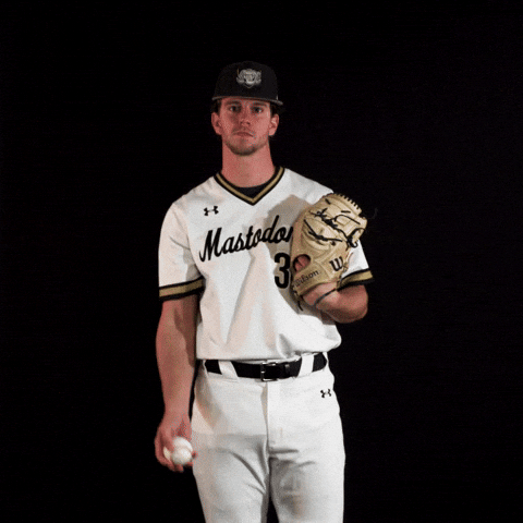 Baseball Dons GIF by Purdue Fort Wayne Athletics