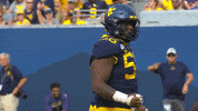 Ncaa Sports Football GIF by WVU Sports