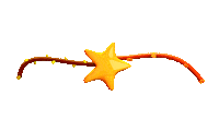 Flower Star Sticker