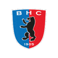 Hockey Sticker by Hockey-Bundesliga