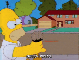 season 3 homer GIF