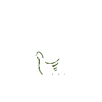 gruporujamar egg hen huevo gallina Sticker