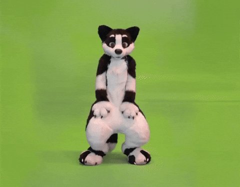 Furrie Dancing GIF by Minky Mom