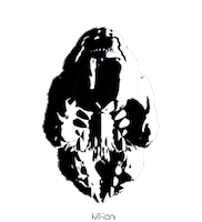 black and white spinning STICKER by Miron