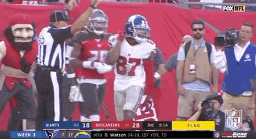 Regular Season Football GIF by NFL