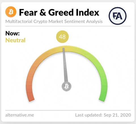 Bitcoin Fear GIF by Forallcrypto
