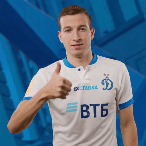 GIF by FC Dynamo Moscow