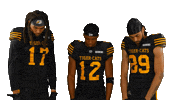 Canadian Football Cfl Sticker by Hamilton Sports Group