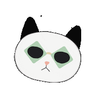 yorgita cat cool summer pink Sticker