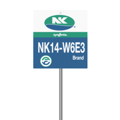 nkseeds_us corn harvest nk yield Sticker