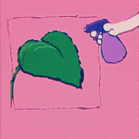samsoomfull love cat illustration work GIF