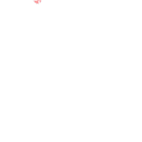 2029 Sticker by University Of Lynchburg