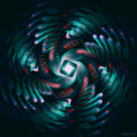 throwback GIF