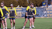 Happy Mood GIF by Canisius Athletics