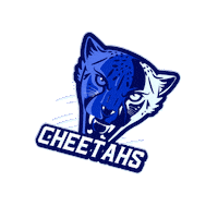 HellcatsCheer cheetahs hellcats cheerleaders hellcatscheerleaders hellcats cheer Sticker