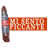 Hamburger Salame Sticker by Sap salumi