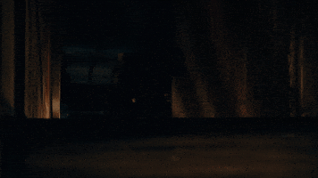 Tatiana Maslany Keeper GIF by NEON