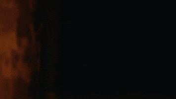 Tatiana Maslany Keeper GIF by NEON