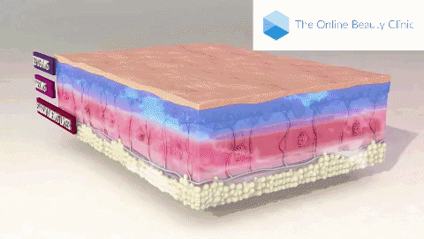 CaviBeauty giphygifmaker GIF