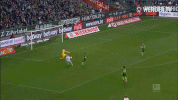 bundesliga pavlenka GIF by SV Werder Bremen