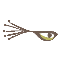 Eye See Sticker