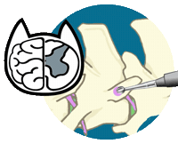 Surgery Neurology Sticker by Neuro Animal