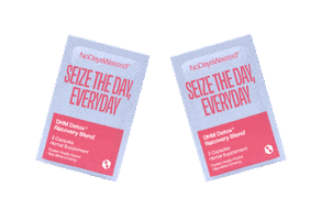 nodayswasted recovery hangover sunday scaries nodayswasted Sticker