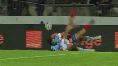 ball try GIF by FCG Rugby