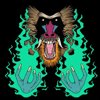 Fire Baboon GIF by Hiatus Kaiyote