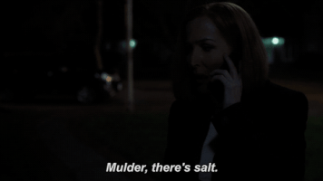 scully mulder GIF by The X-Files