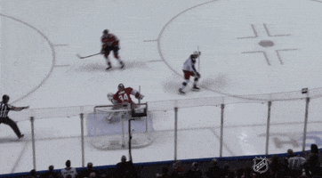 happy ice hockey GIF by NHL