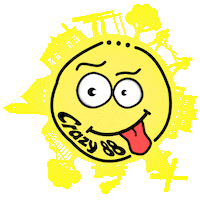 Happy Fun Sticker by Reuring op Erica