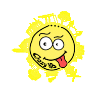 Crazy88 Sticker by Reuring op Erica